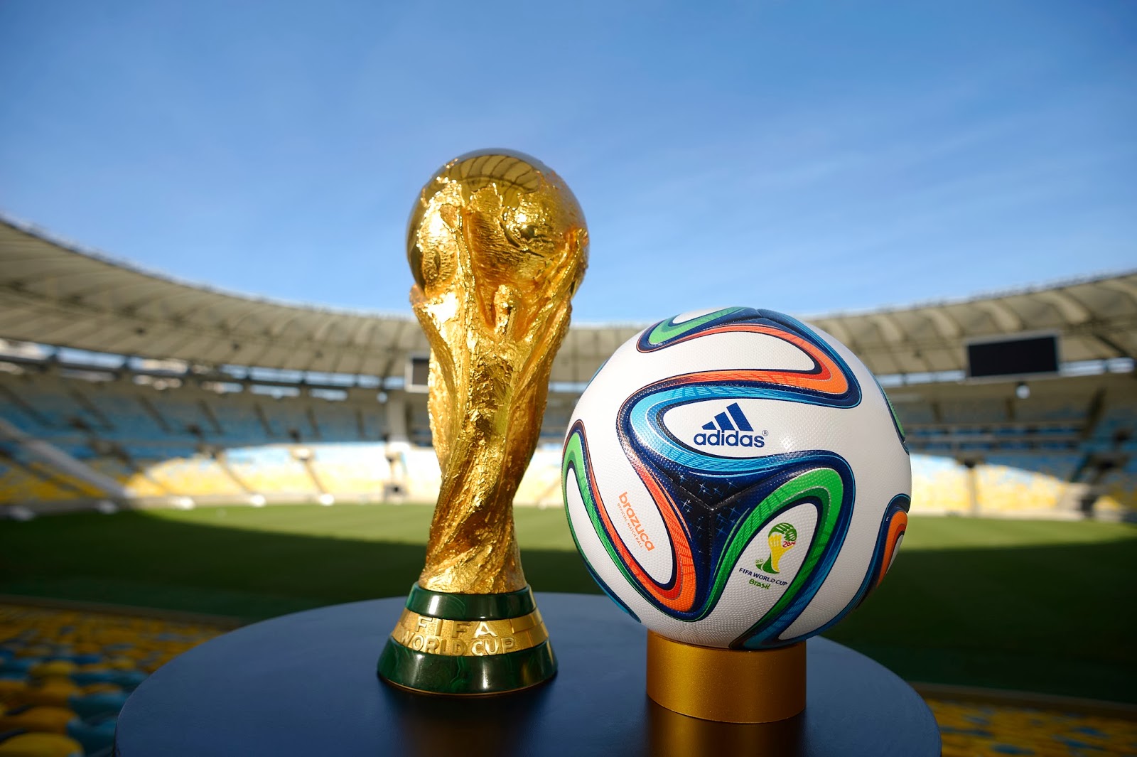 Fifa world cup on sale in 2014