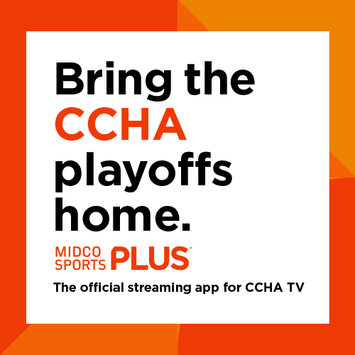 Descriptive Alt Text